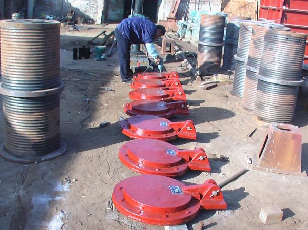 35627819.jpg 35627819.jpg